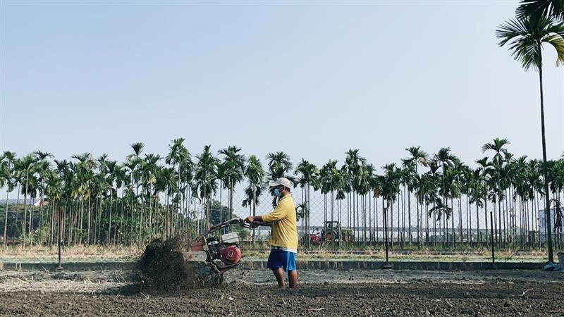 萬丹鮮紅豆-南國紅逗,小老闆的栽種日記🌱2021年9月30日